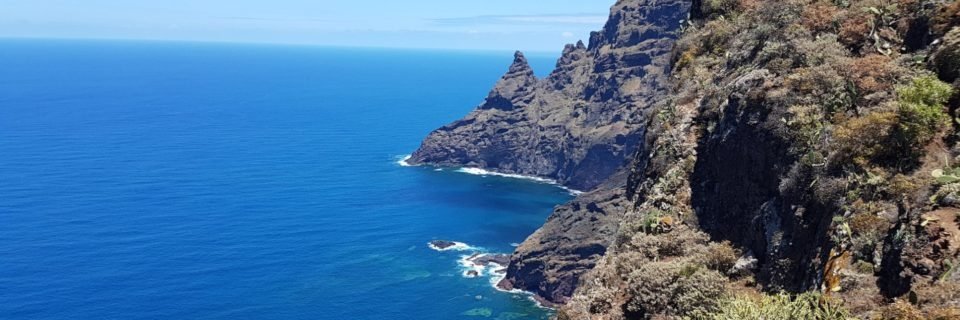 Things to do in Tenerife - Punta del Hidalgo