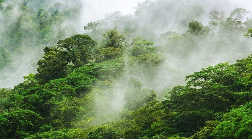 Things to do in Costa Rica - discover Monteverde Cloud Forest!