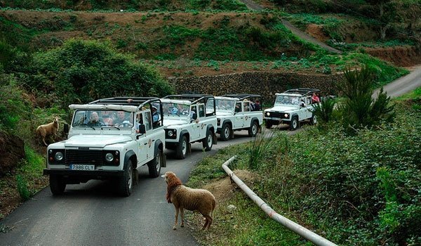 Explore Masca Road with Jeep Safari in Tenerife