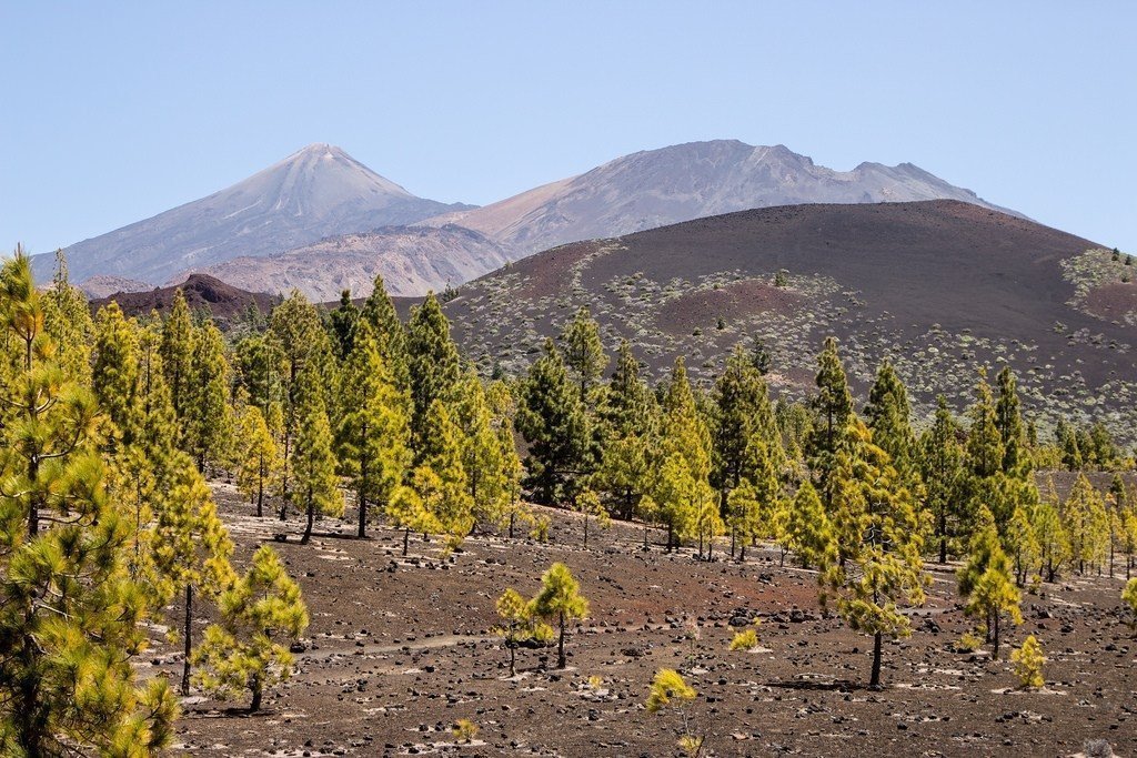 Two peaks of volcano Teide in Tenerife