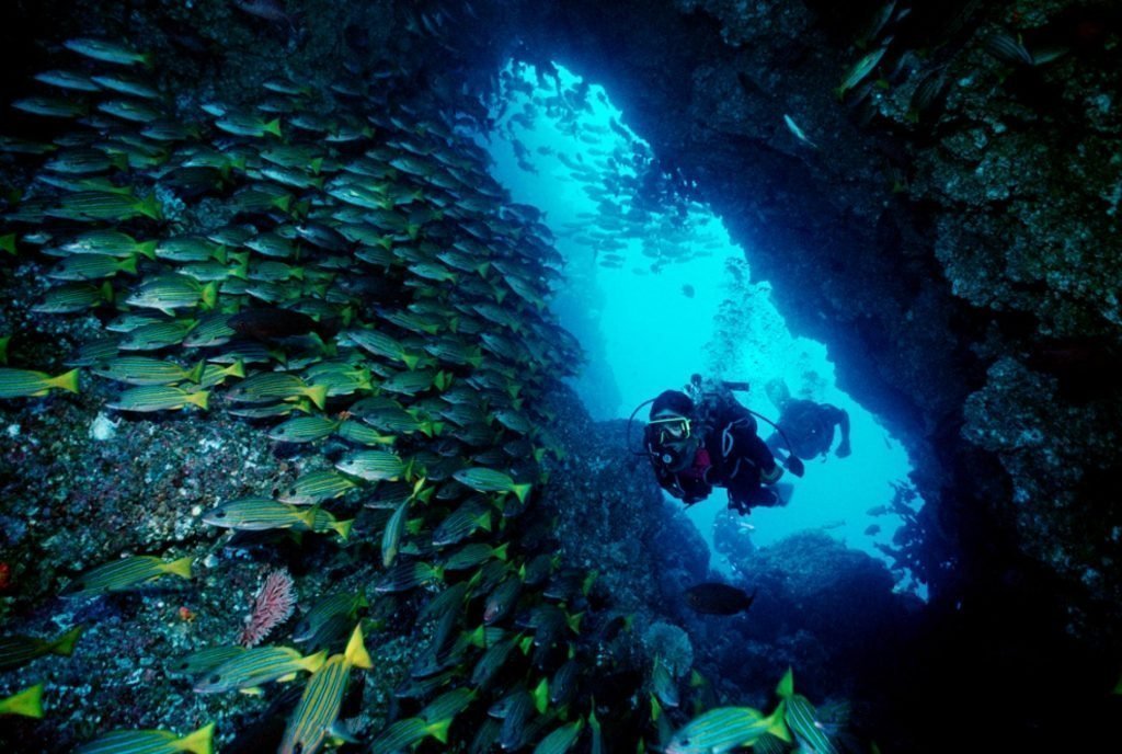 Things to do in Costa Rica - scuba diving.