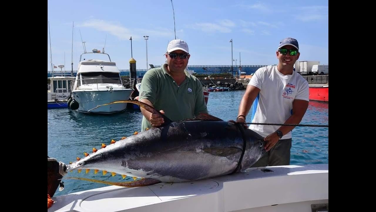 Tuna fishing trips in Tenerife