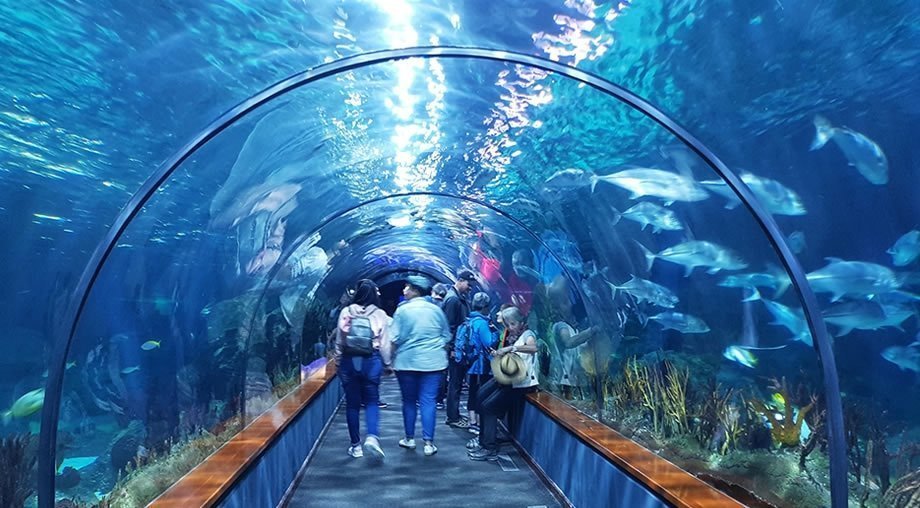 Loro Parque Tenerife - Aquarium