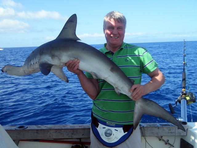 Fishing in Tenerife - shark