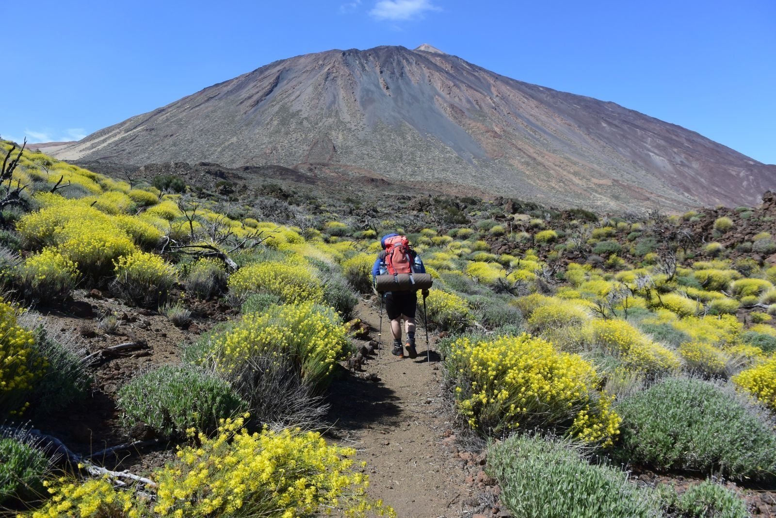 Hiking by Tenerife volcanoes