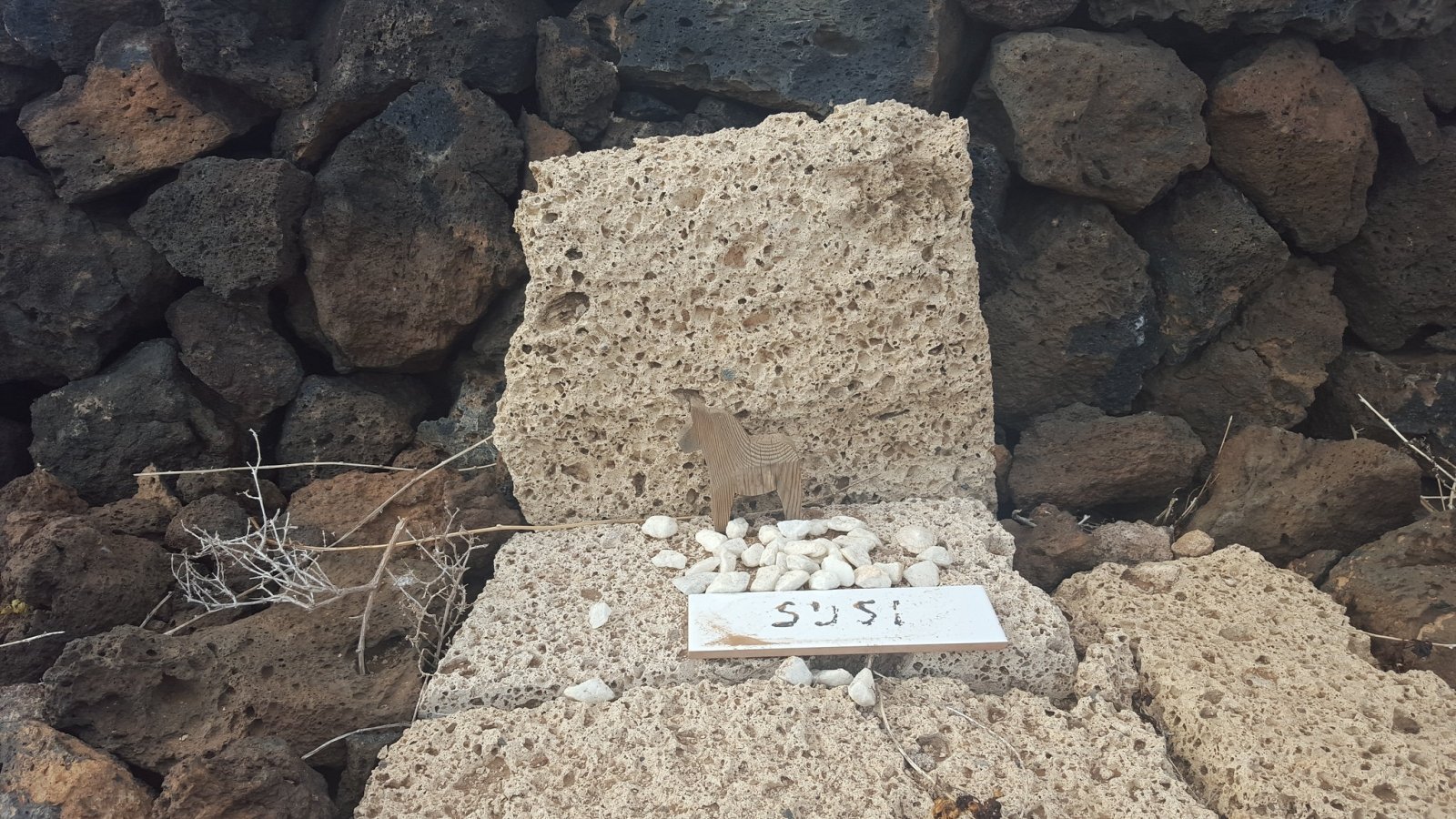 Dog's grave in Malpais de La Masca