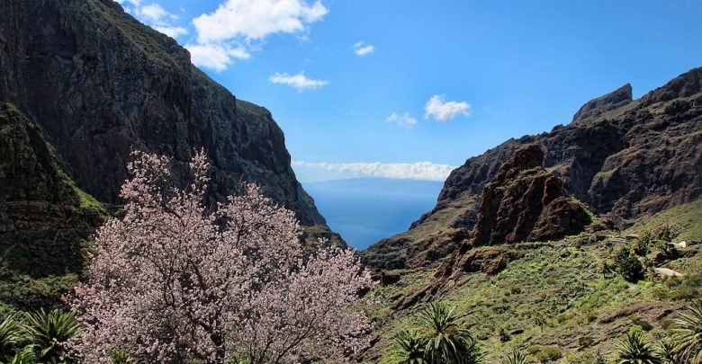 Tenerife hiking - Masca trail