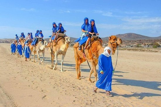 Things to do in Agadir - camel riding