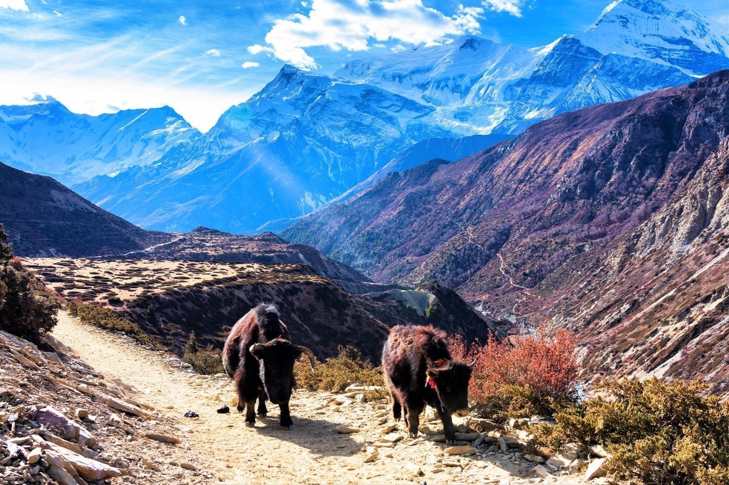 Nepal tour packages - beautiful treks