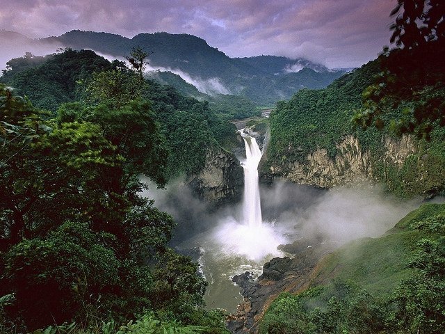 Yasuni National park - don't miss it from your list of things to do in Ecuador!