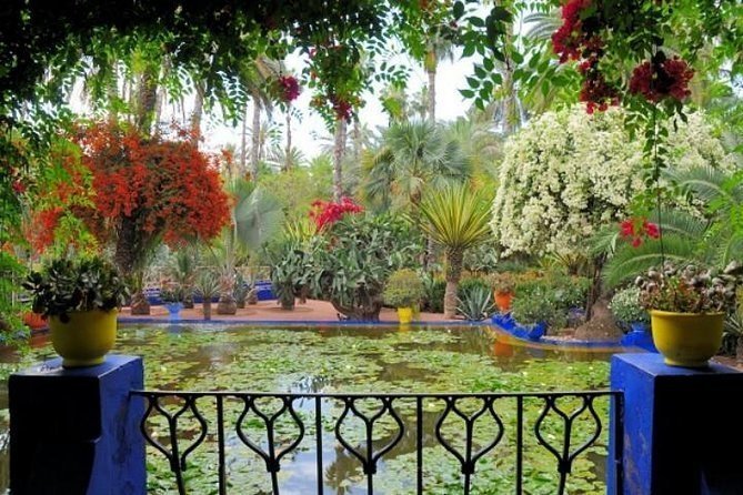 Things to Do in Marrakech - Majorelle Gardens