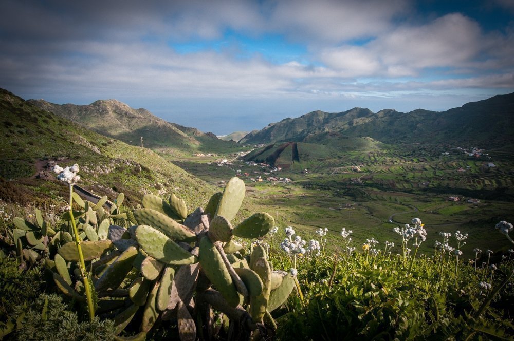 El Palmar valley - Teno Mountains, Tenerife