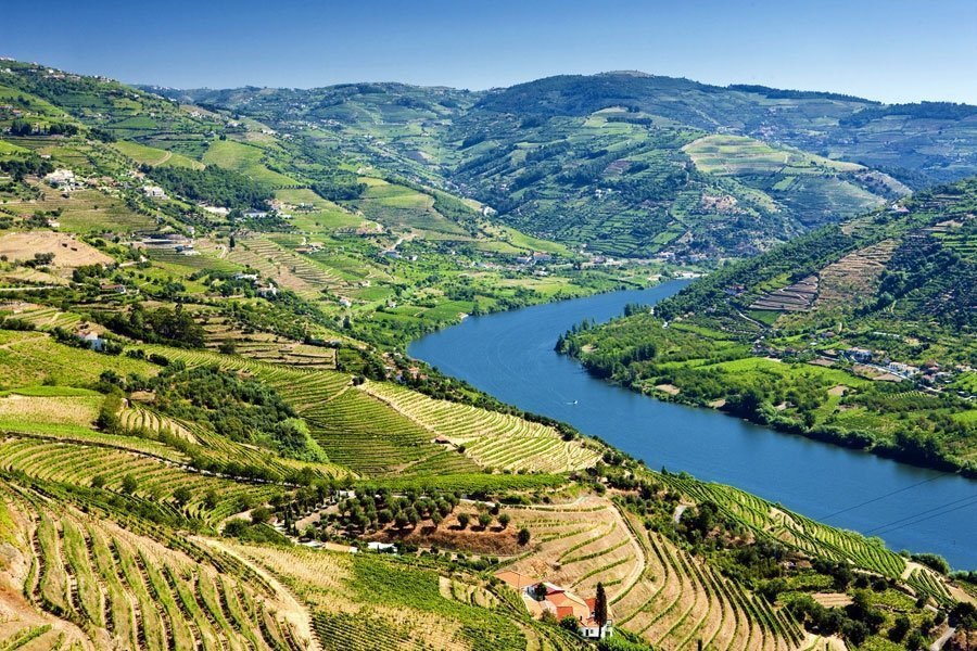 Things to do in Portugal - Douro Valley