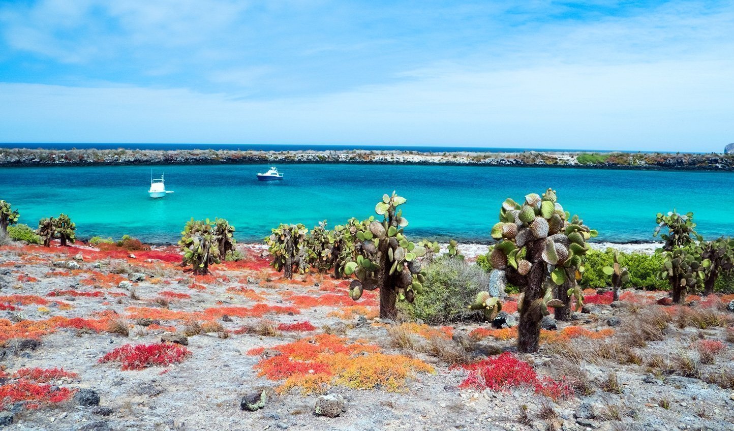 Famous Galapagos Islands - is the thing you must see in Ecuador!