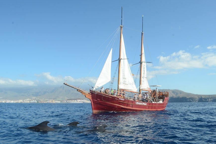 Tenerife sailing charters - Peter Pan ship