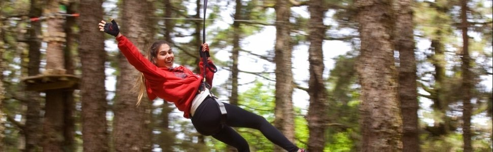 Theme Parks in Tenerife - zip-lines of Forestal Park