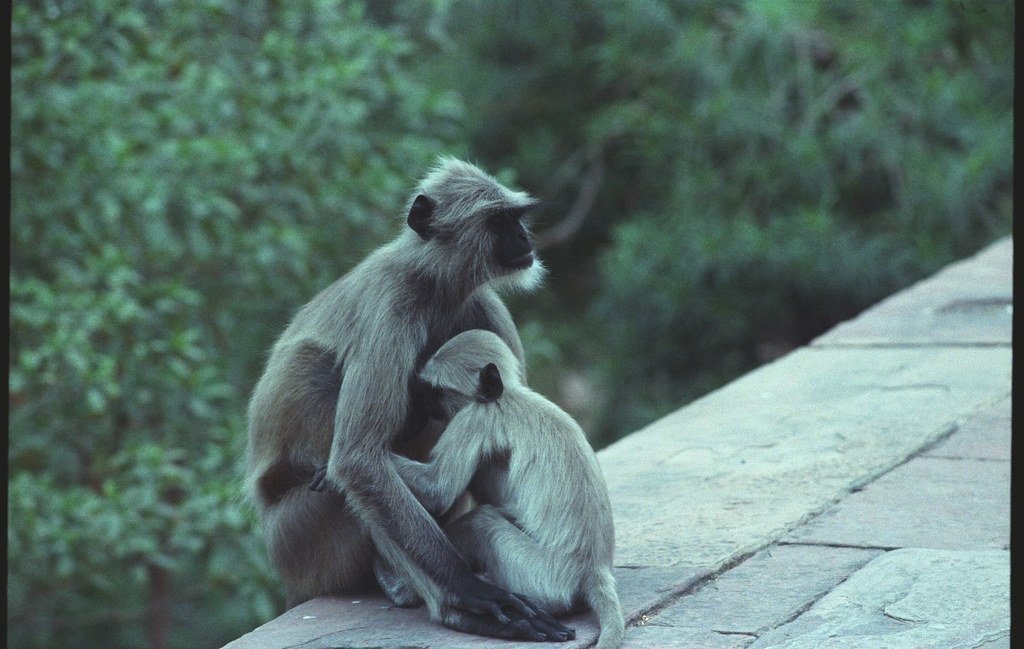 Taj Tours from Delhi to Agra