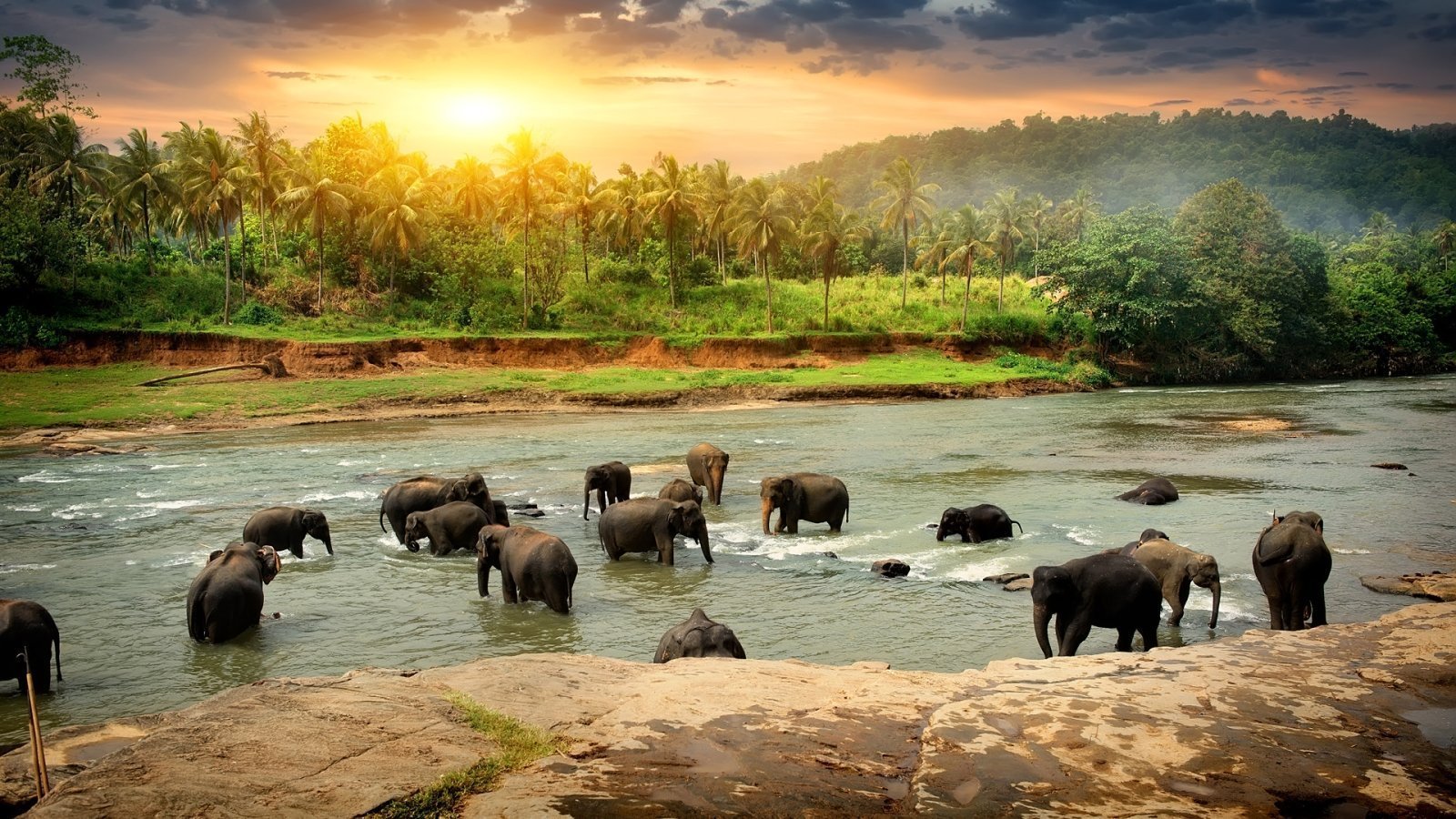 Things to do in Sri Lanka - local tour package