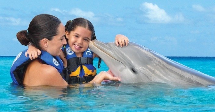 Things to do in the Cayman Islands - Dolphin Discovery