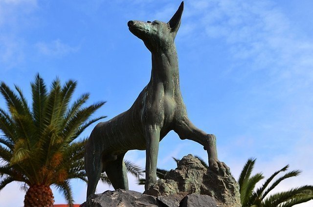 Fuerteventura things to do - Puerto del Rosario Sculpture Park