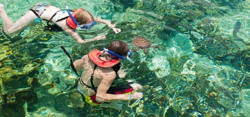 Things to do in the Cayman Islands - Turtle Centre