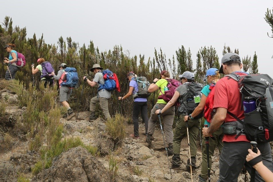 kilimanjaro hiking-Neza safaris