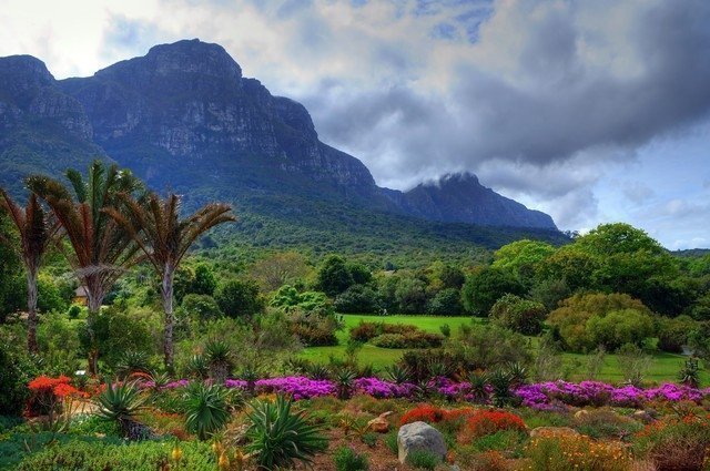 Things to do in Cape Town - gardens