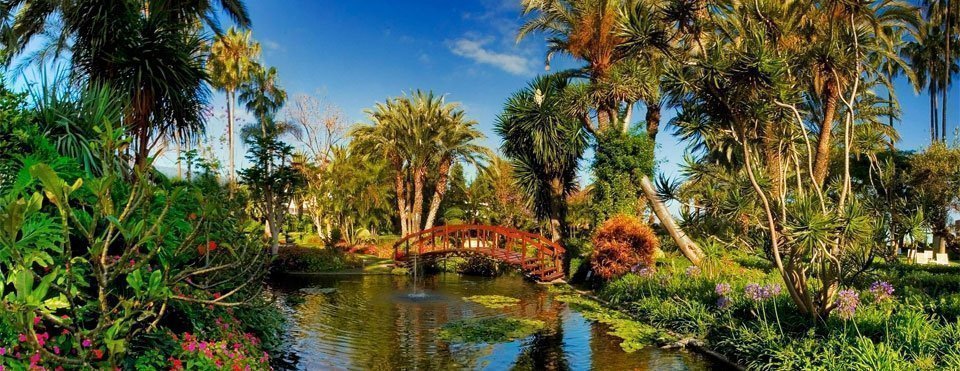 Get your mind relax in the Botanical Garden - definitely among the things to do in Puerto de La Cruz.