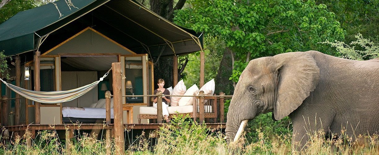 African Safari - don't feed animals passing the camp!