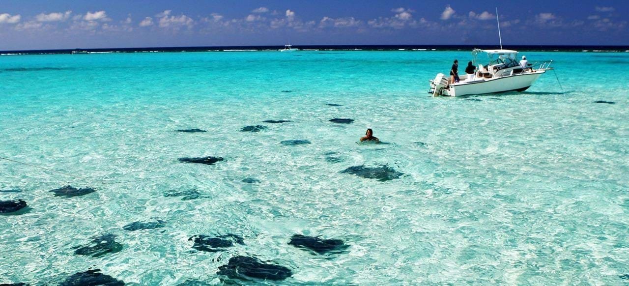 Things to do in the Cayman Islands - Stingray City