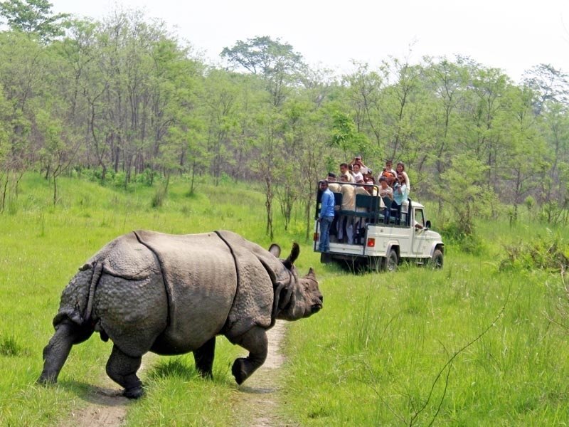 Nepal tour packages - explore wildlife