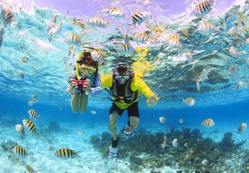 Things to do in the Cayman Islands - Snorkeling