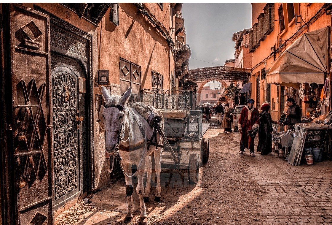 Things to Do in Marrakech - Medina
