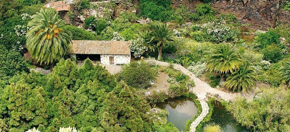 Things to do in Gran Canaria - Jardin Canario