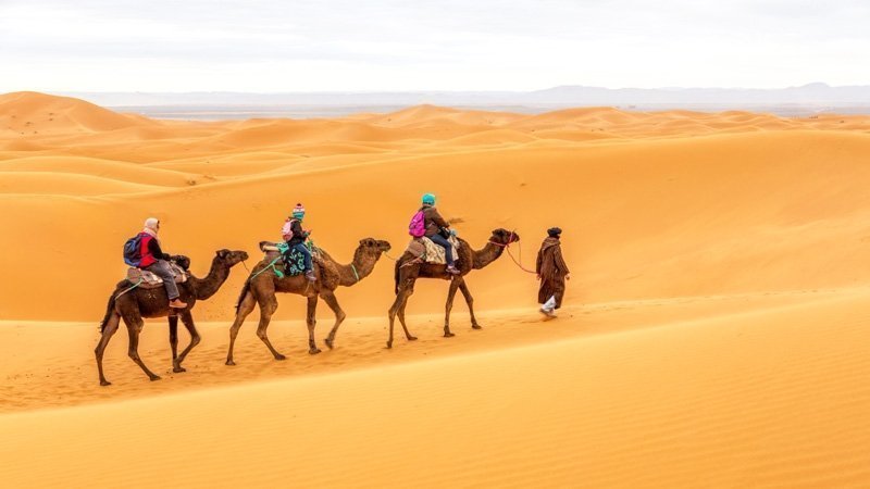 Things to do in Morocco - ride a camel