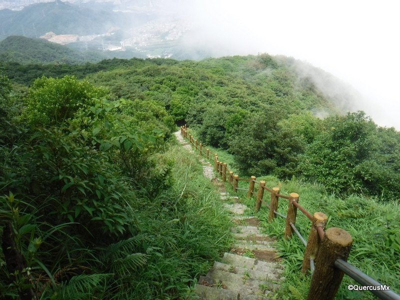 Things to do in Shenzhen - Mt. Wutong