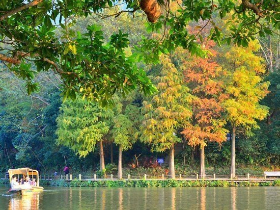 Fairy Lake (Xian Hu) Botanical Garden - one of beautiful things to do in Shenzhen