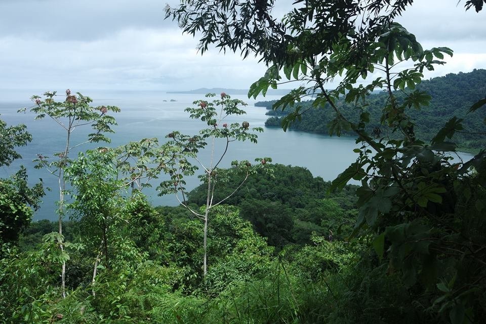 Isla Coiba - Devil's Island by Panama