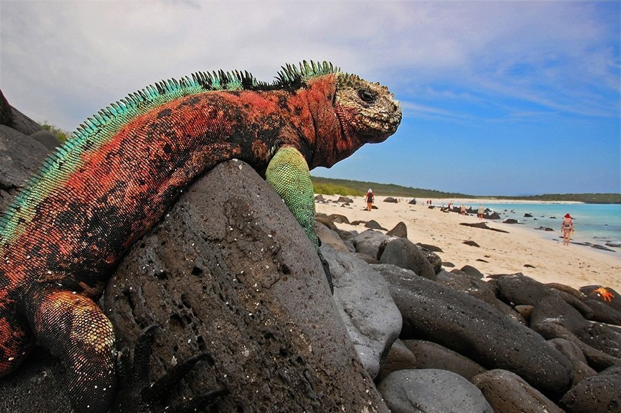 Things to do in Galapagos