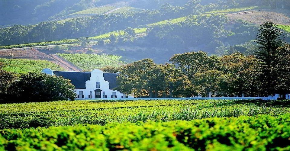 Things to do in Cape Town - Cape Winelands